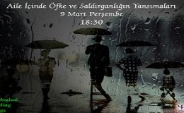 Aile İçinde Öfke ve Saldırganlığın Yansımaları