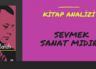 Sevmek Sanat Mıdır? 